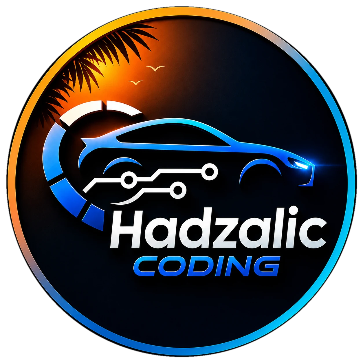 Hadzalic Coding